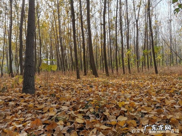 无边落木萧萧下的下一句