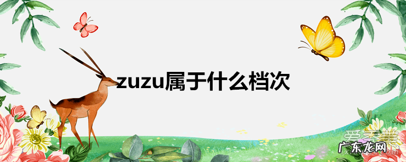 zuzu属于什么档次