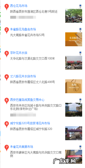 网上买博美靠谱吗 西安什么地方可以买博美