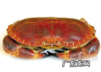 吃面包蟹有什么好处呢?一起来看看吃面包蟹有哪些好处呢?下面一起来看看吧