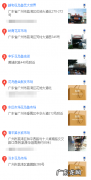 广州买拉布拉多的地方 广州买拉布拉多