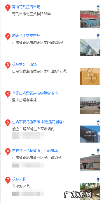 阿拉斯加在哪买 青岛买阿拉斯加