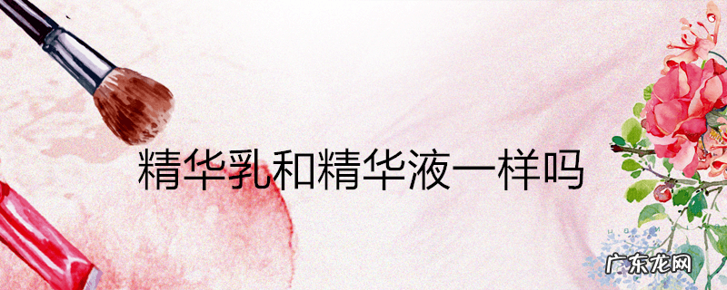 精华乳和精华液一样吗