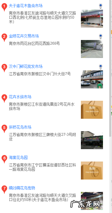 松狮去哪买 南京哪儿买松狮