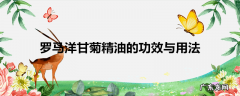 罗马洋甘菊精油的功效与用法