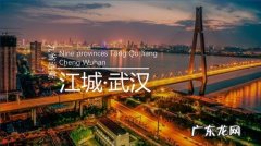 江城是哪个城市