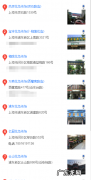 松狮去哪买 上海什么地方买松狮