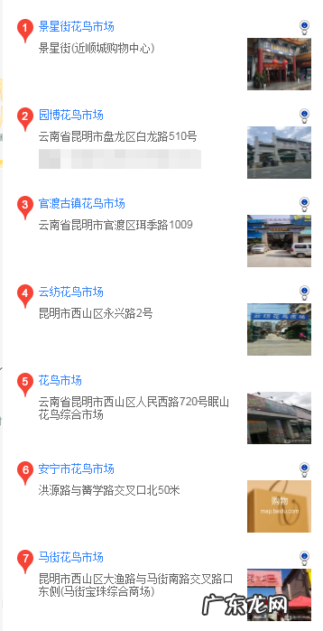 昆明哪里去买马尔济斯