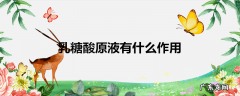 乳糖酸原液有什么作用