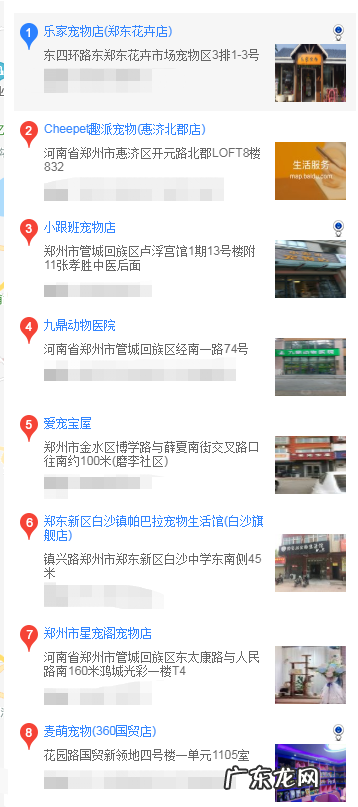 巴哥犬出售 郑州买巴哥犬