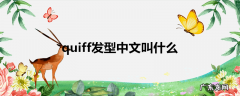quiff发型中文叫什么