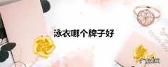 泳衣哪个牌子好