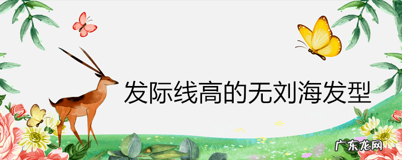 发际线高的无刘海发型