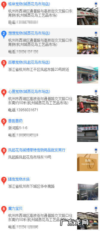 哪里买博美 杭州怎么买博美