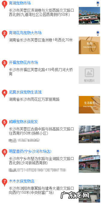 网上买博美靠谱吗 长沙怎么买博美