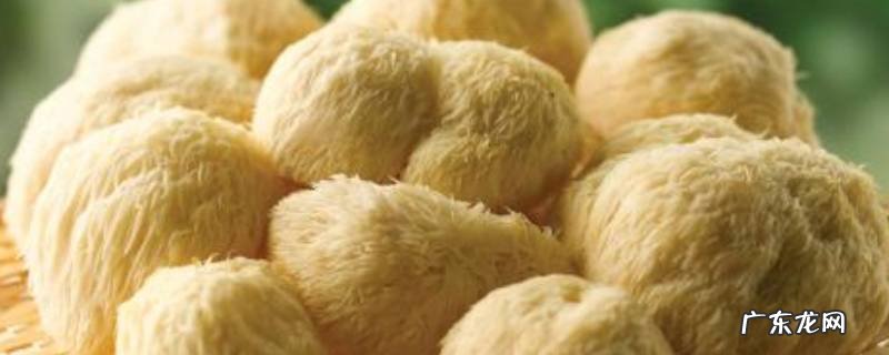 猴头菇汤怎么做好吃,猴头菇煲汤怎么做法