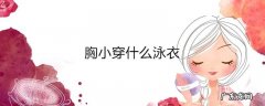 胸小穿什么泳衣