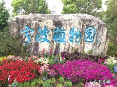 宁波植物园属于哪个街道
