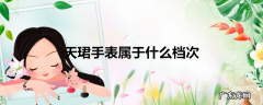 天珺手表属于什么档次