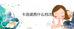 卡洛黛茜什么档次