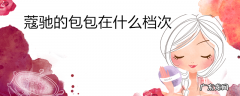 蔻驰的包包在什么档次