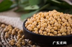 黄豆功效
