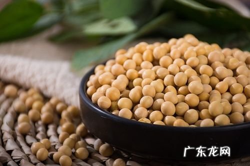 黄豆功效