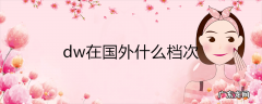 dw在国外什么档次