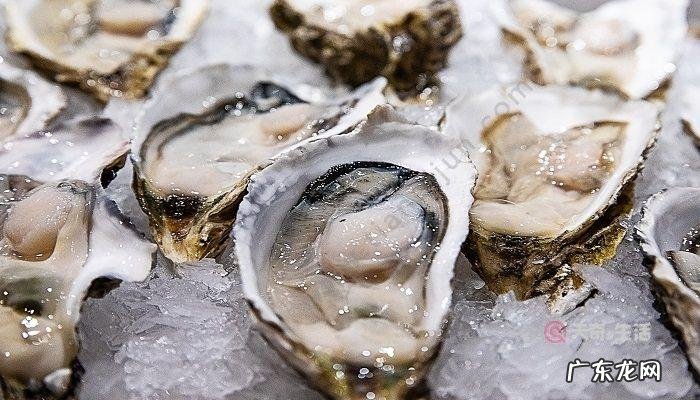 鸡生蚝什么部位