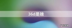 36d是啥,36D是啥玩意