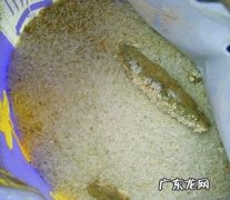 大米没坏但是有气味怎么办？教你一招,轻松解决!