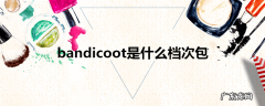 bandicoot是什么档次包