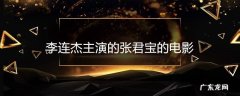 李连杰主演的张君宝的电影