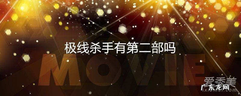 极线杀手有第二部吗