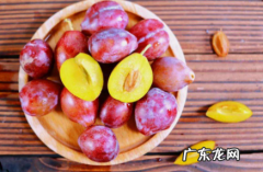 西梅会拉肚子吗 西梅吃多少个会拉肚子