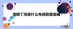 雪晴丁海是什么电视剧里面的