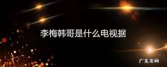 李梅韩哥是什么电视据