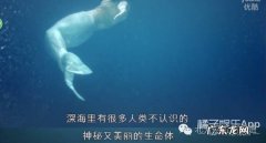 winrar是什么