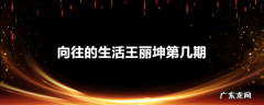向往的生活王丽坤第几期