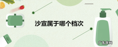 沙宣属于哪个档次