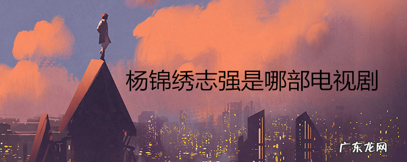 杨锦绣志强是哪部电视剧