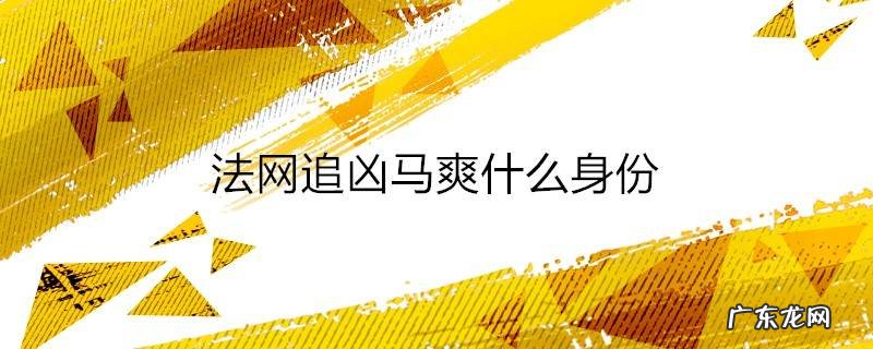 法网追凶马爽什么身份