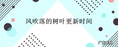 风吹落的树叶更新时间