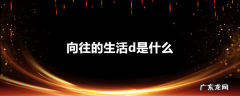 向往的生活d是什么