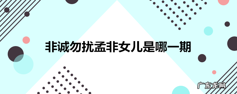 非诚勿扰孟非女儿是哪一期