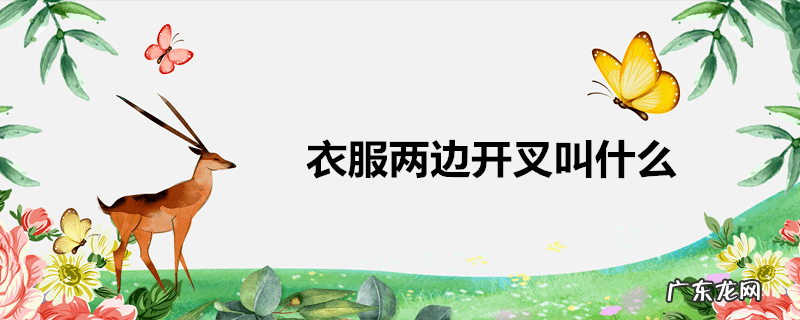 衣服两边开叉叫什么
