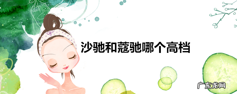 沙驰和蔻驰哪个高档