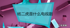 杨二虎是什么电视剧