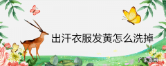 出汗衣服发黄怎么洗掉