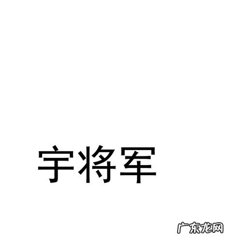 宇将军是什么梗